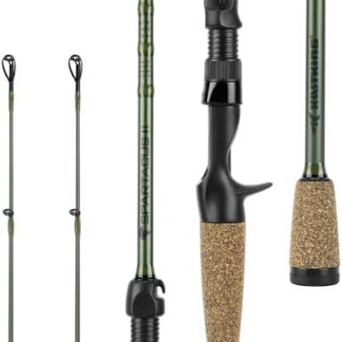 KastKing Spartacus II Fishing Rods - IM6 Graphite Blanks Casting & Spinning Rods, 2-Piece Rods with Extra Tip Section, PTS Power Transition System, KastFlex Technology, Rubber Cork Handle